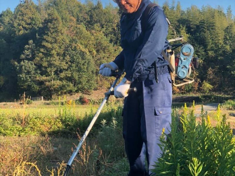 柳井市 アグポン Agupon 農業バイト検索サイト